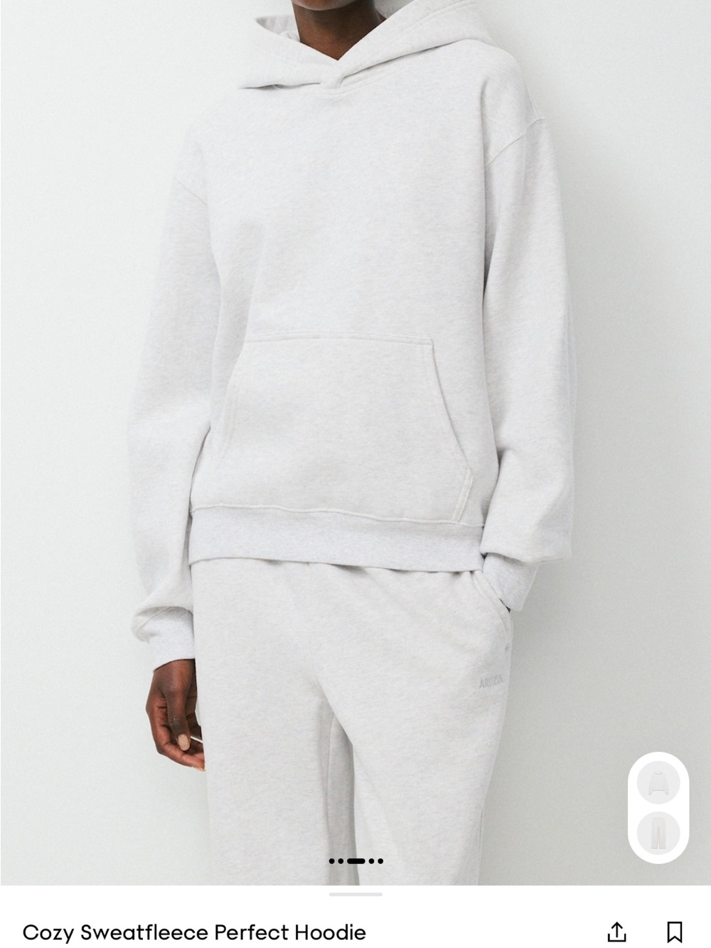 Aritzia Light Heather Gray Hooded Sweatshirt